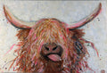 Angus