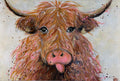 Baby Angus