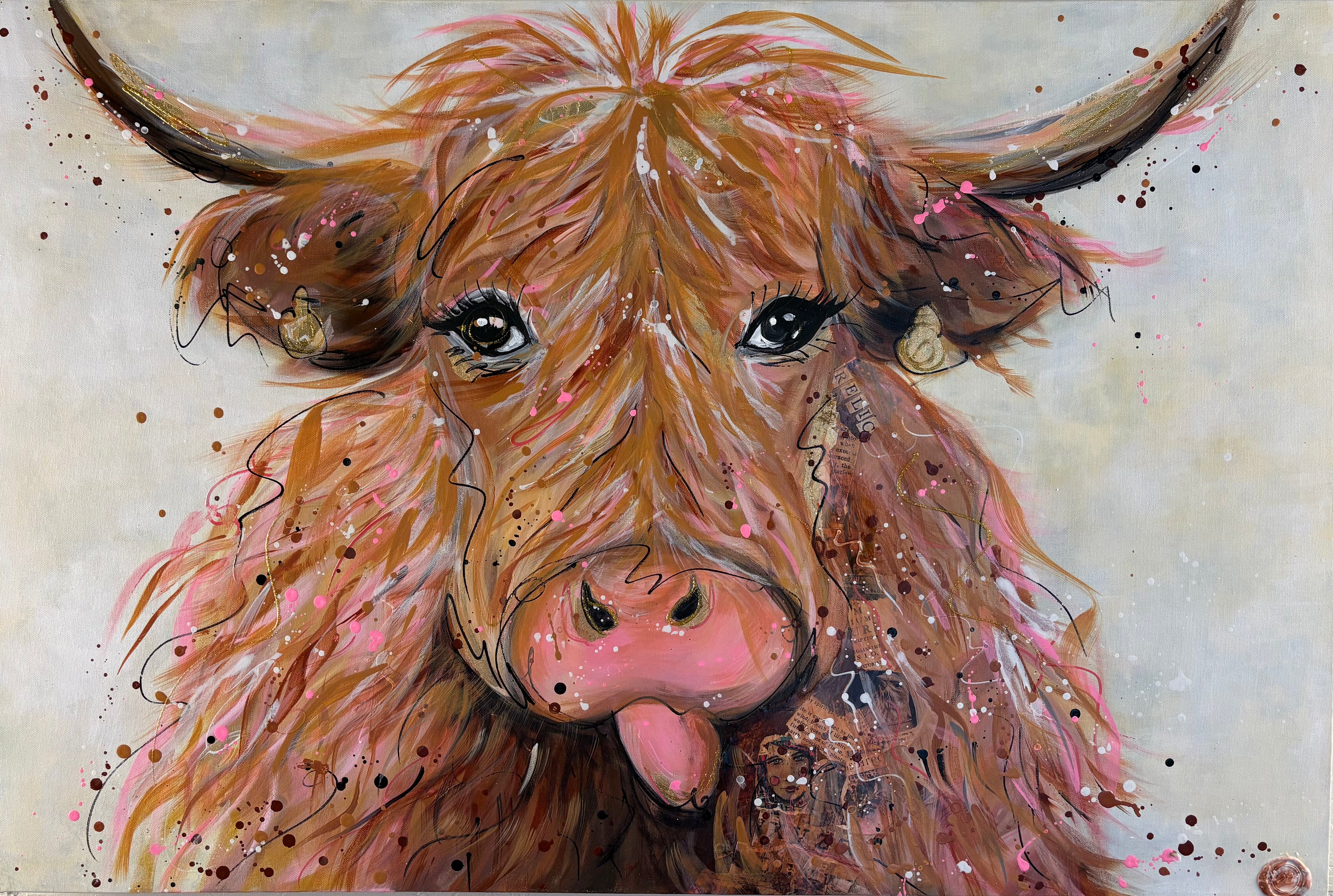 Baby Angus